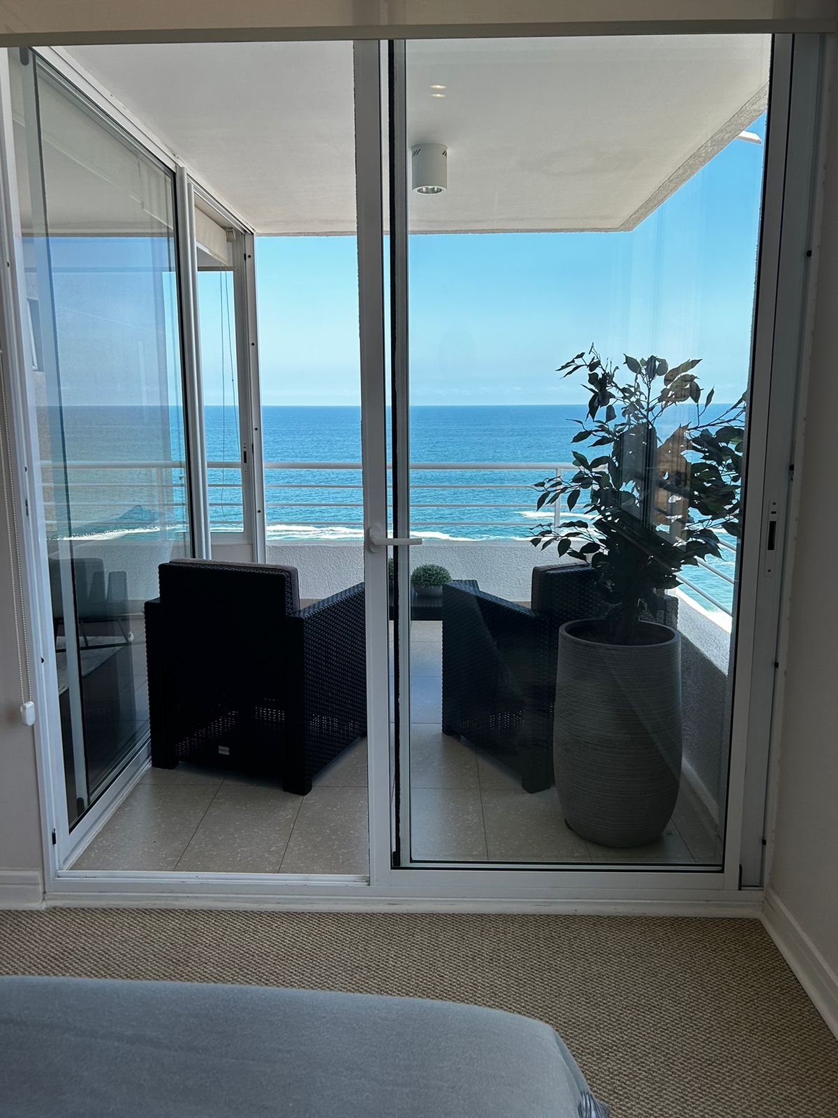 1504 Gran Pacífico 3